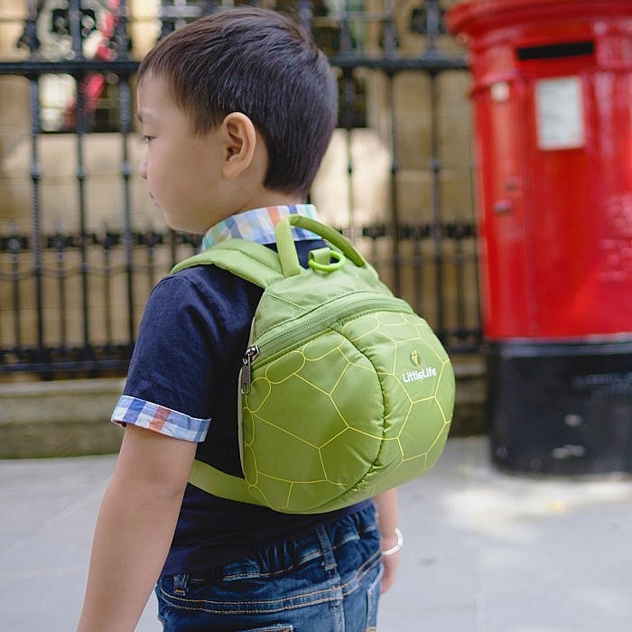 littlelife turtle backpack