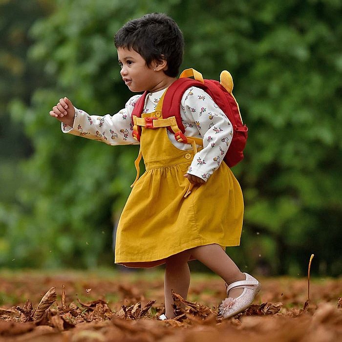 boy little life backpack