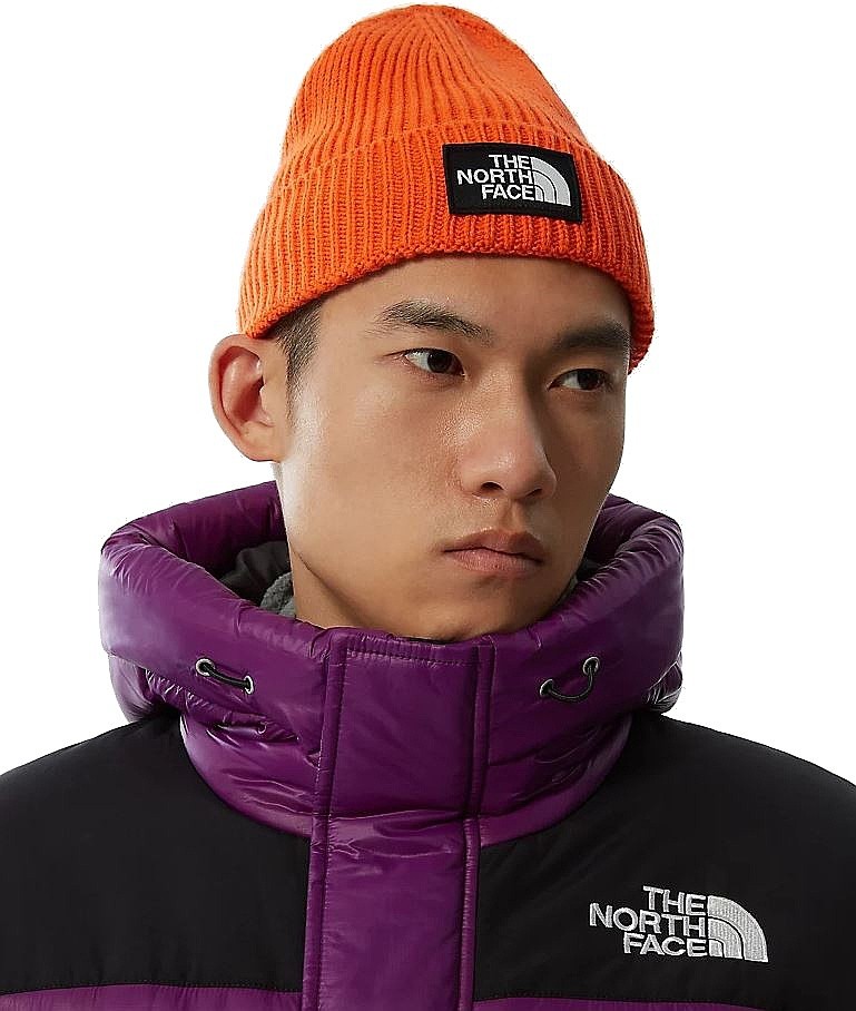 cap The North Face TNF Logo Box Cuffed 