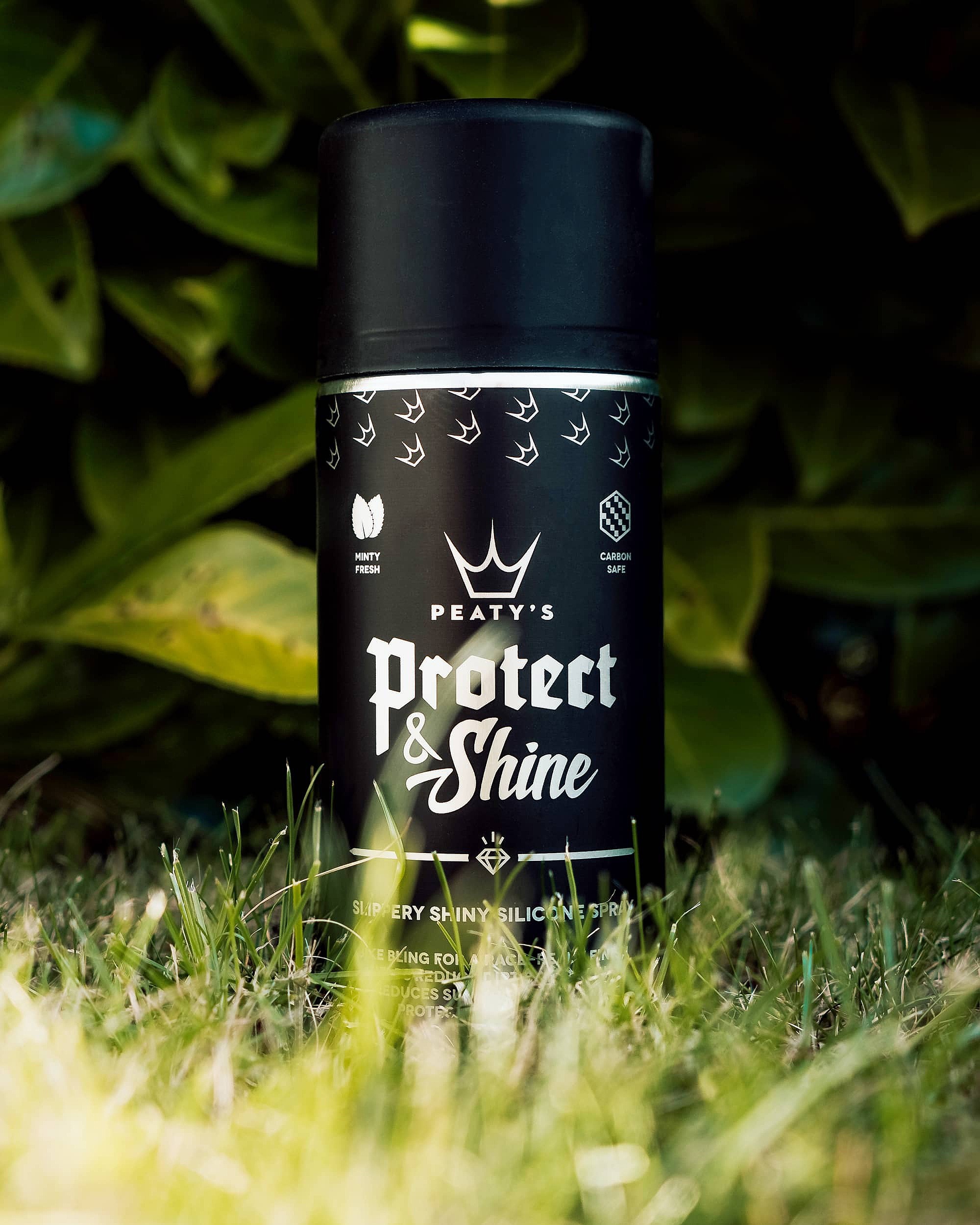 Reiniger Peaty's Protect And Shine Silicone Sprey 400 ml - No Color