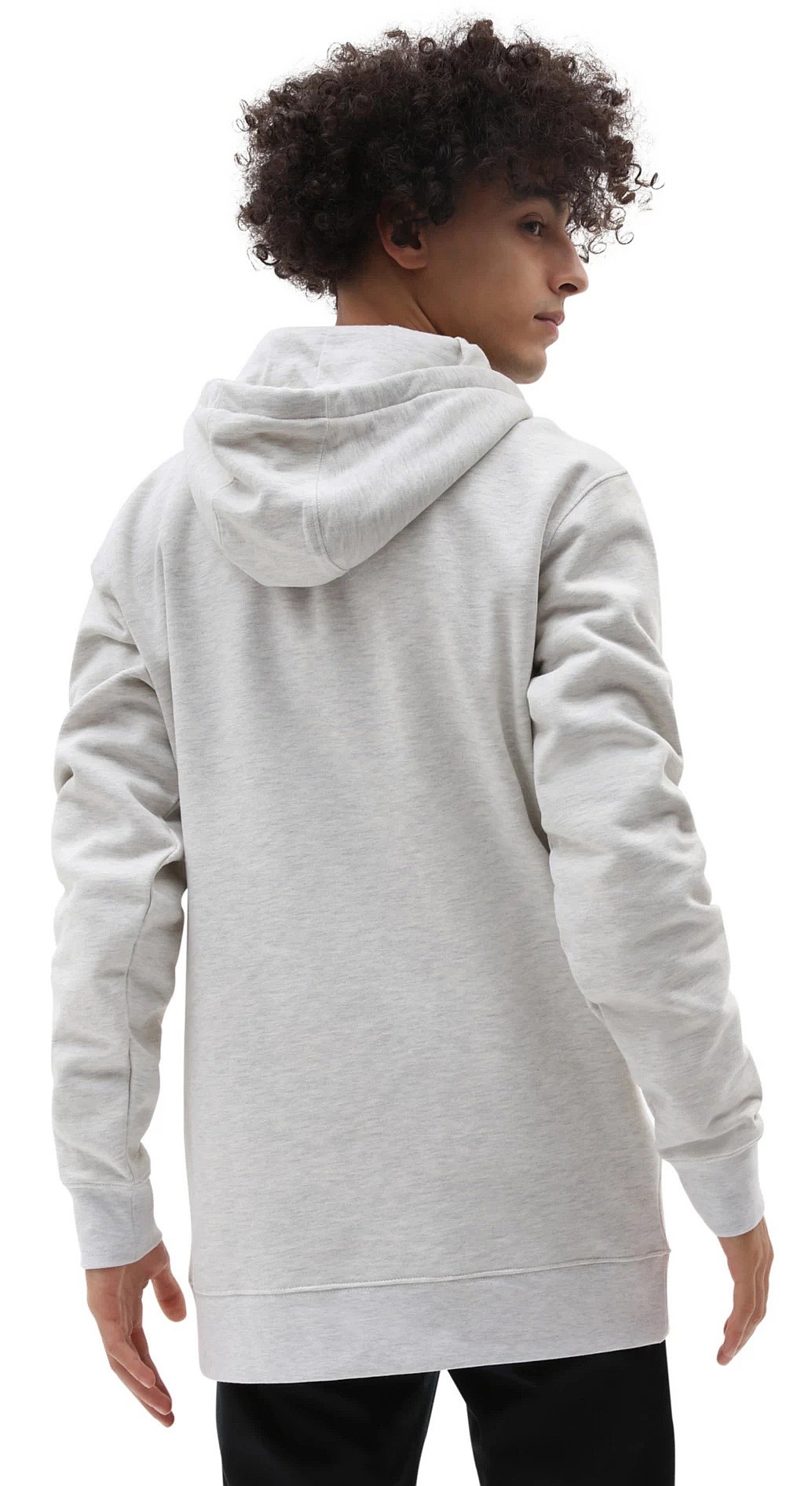 sweatshirt Vans Back Bay Camo Pullover - Back Bay Camo Oatmeal Heather - men´s