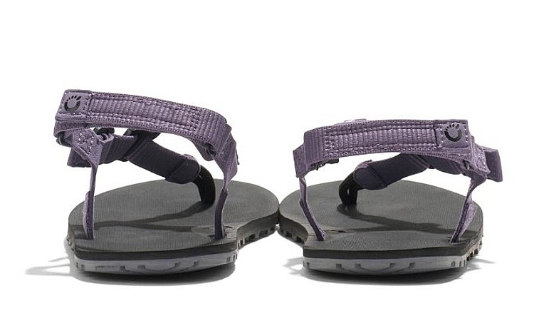 shoes Xero Shoes H-Trail - Sage Purple - women´s