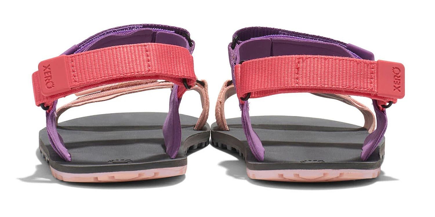 shoes Xero Shoes D-Trail - Dewberry Multi - women´s
