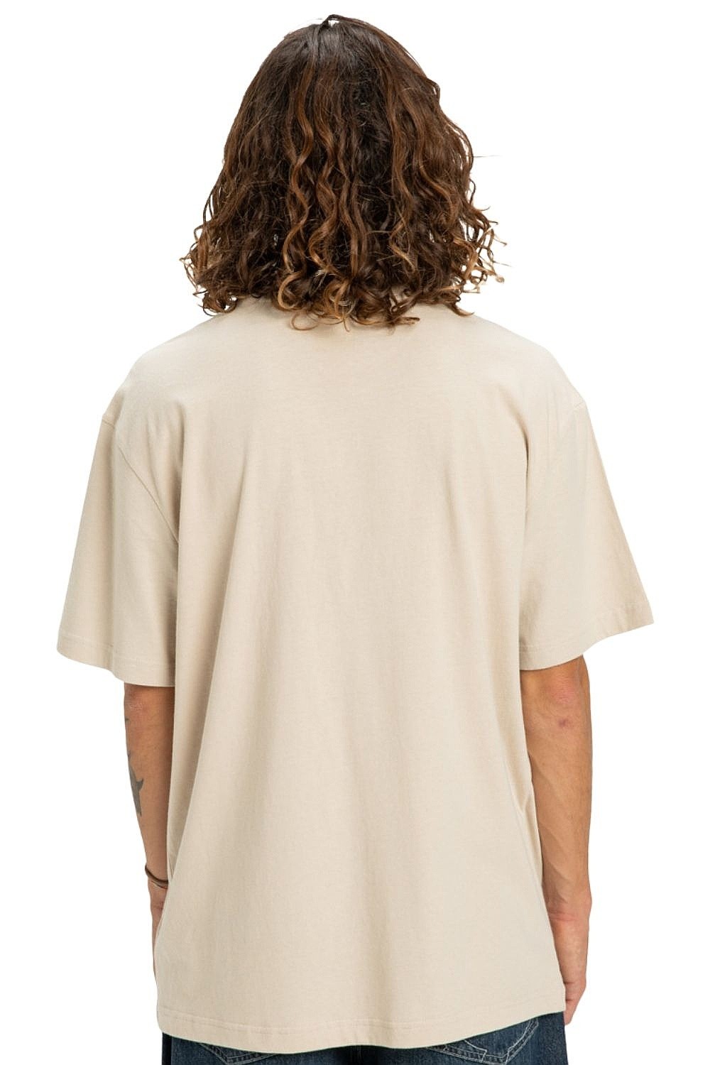 tričko DC Star Filled Hss - TFL0/Oatmeal - men´s