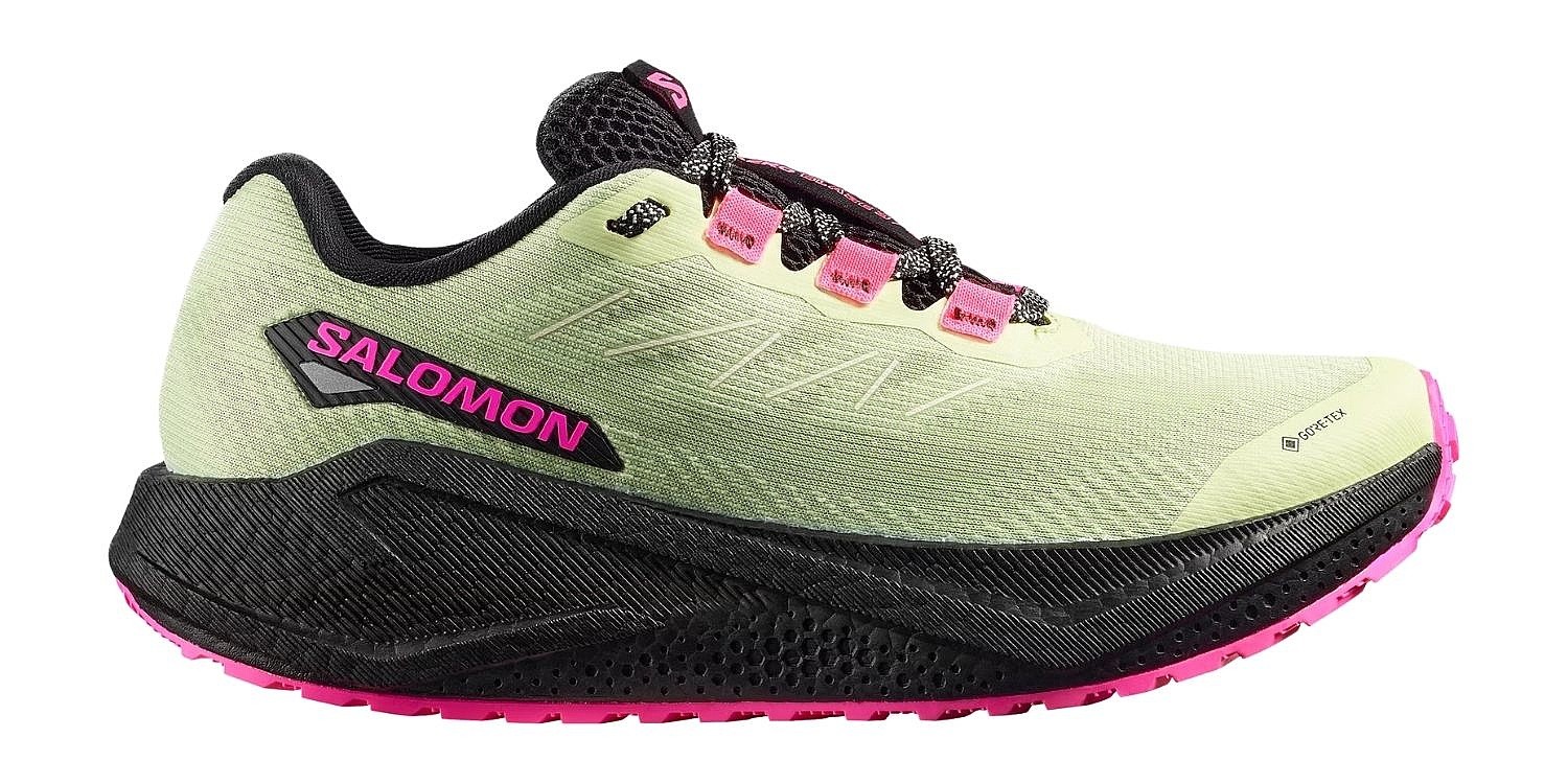 topánky Salomon Aero Blaze 3 Grvl GTX - Butterfly/Black/Knockout Pink - women´s