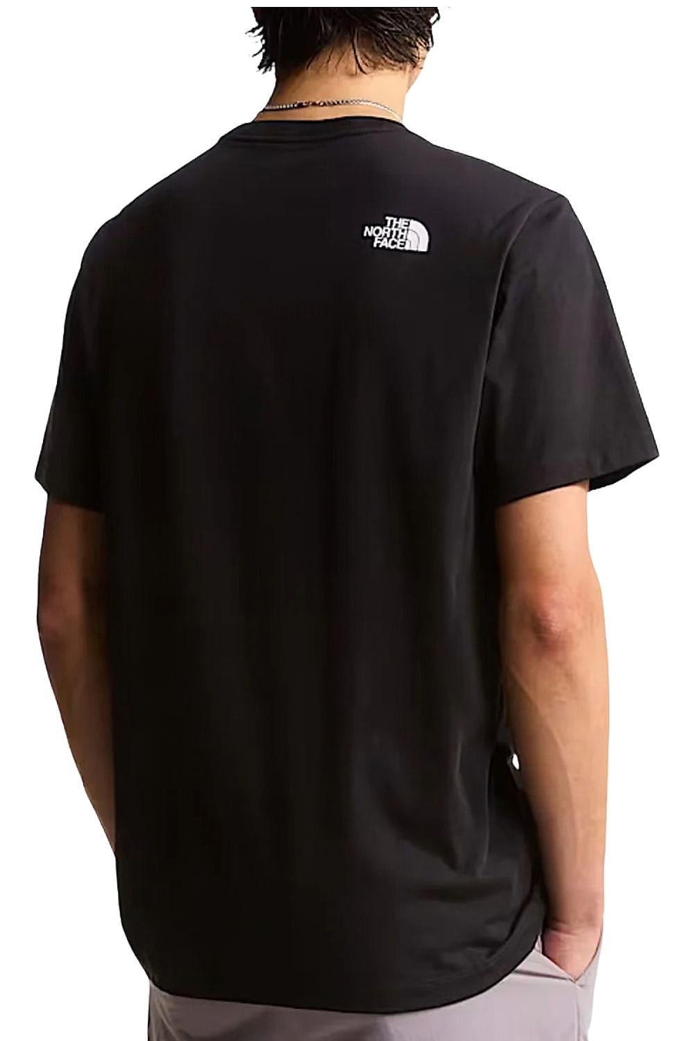 рубашка The North Face Evolution Half Dome Regular - TNF Black/TNF White - men´s