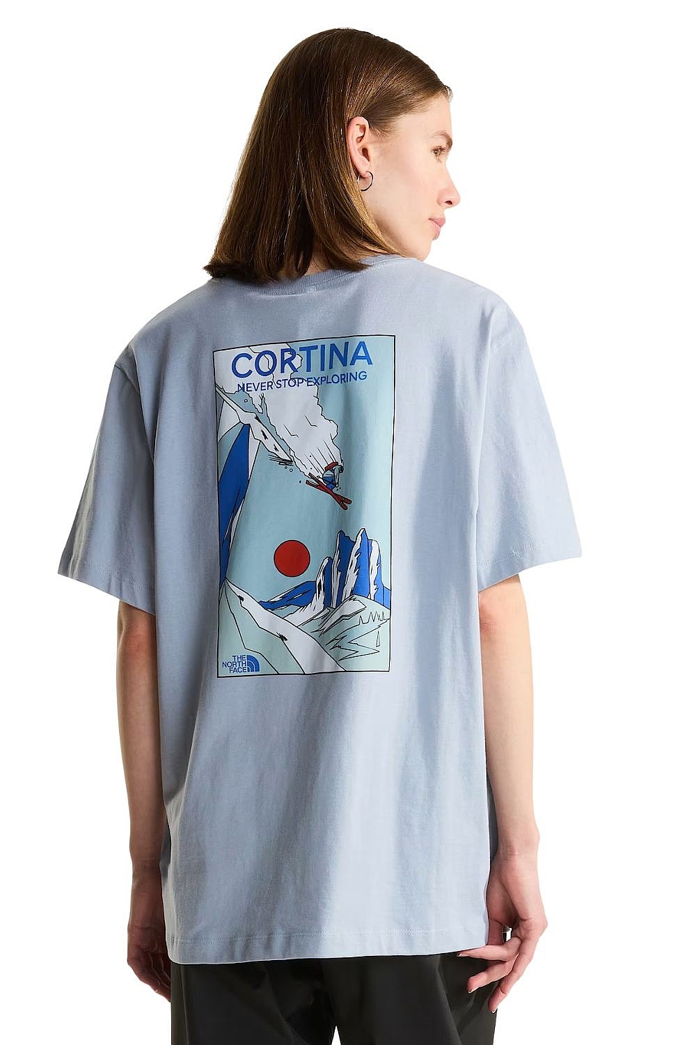 рубашка The North Face Mountain Celebration Regular - Frost Grey - men´s