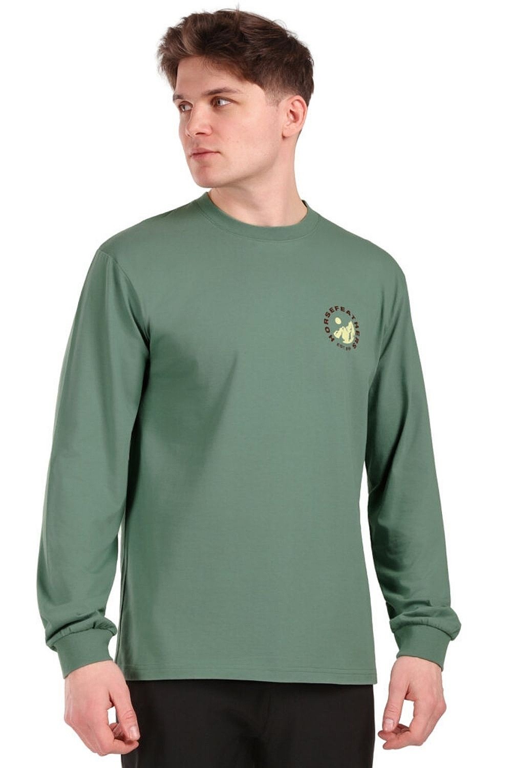 tričko Horsefeathers Altitude LS - Iceberg Green - men´s