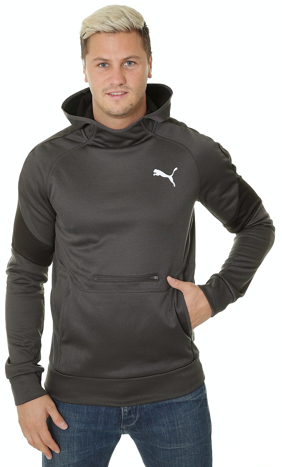 puma evostripe grey