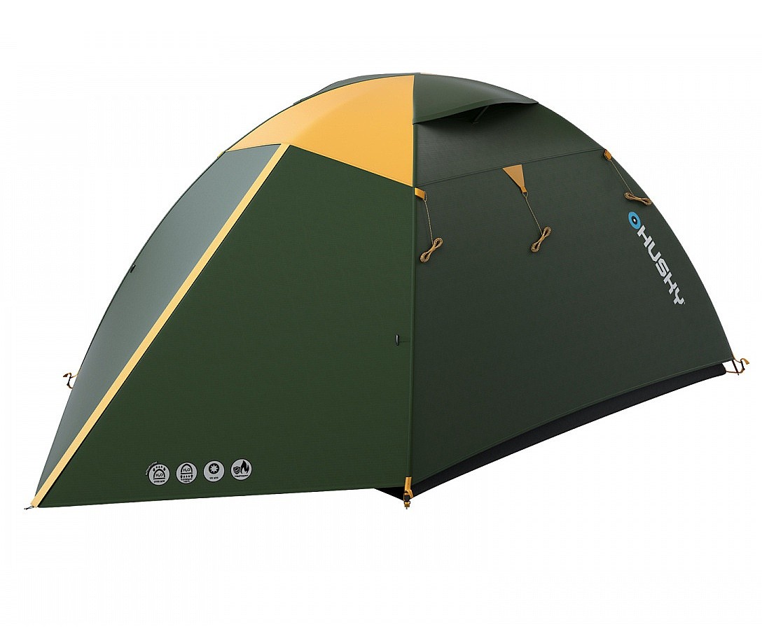 cort Husky Boyard 4 Classic - Green