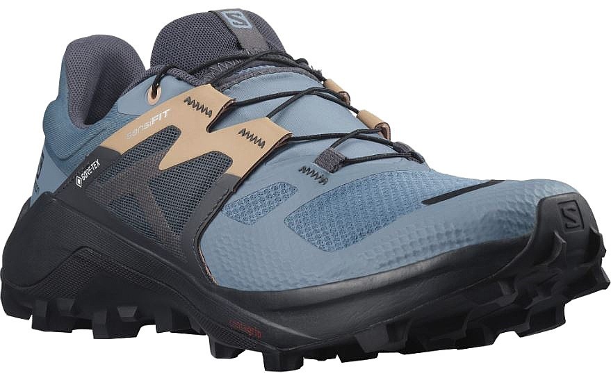 chaussures Salomon Wildcross 2 GTX W - Bluestone/Ebony/Sirocco - women´s
