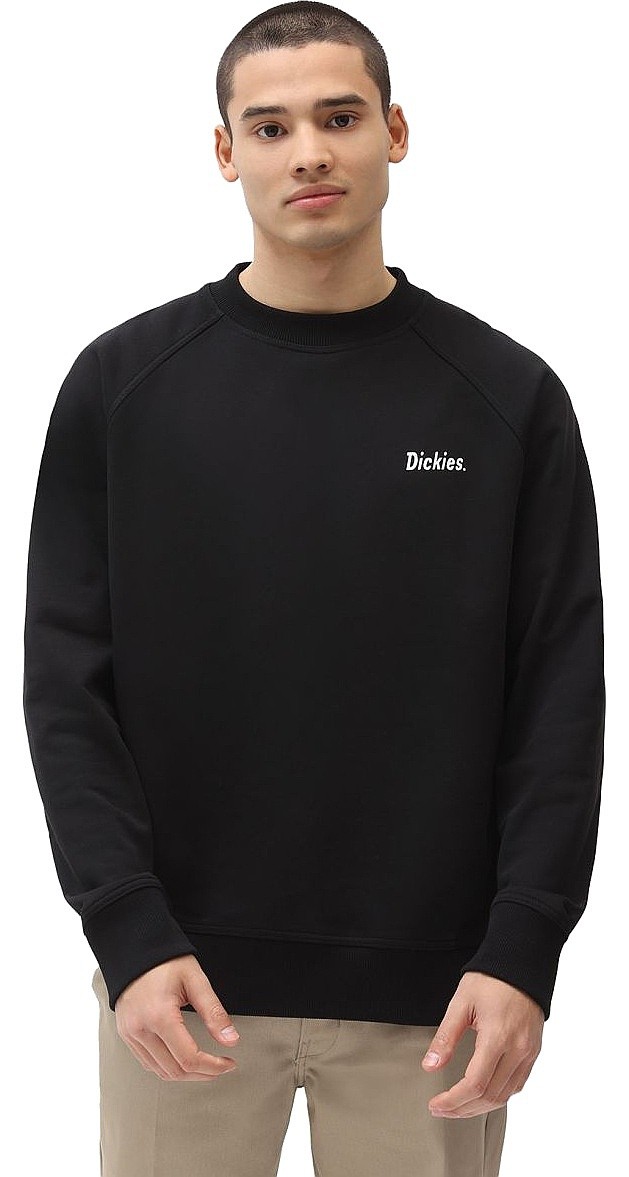 SUDADERA DICKIES SAN ANTONIO - WHITE precio barato SUDADERA DICKIES SAN  ANTONIO - WHITE comprar