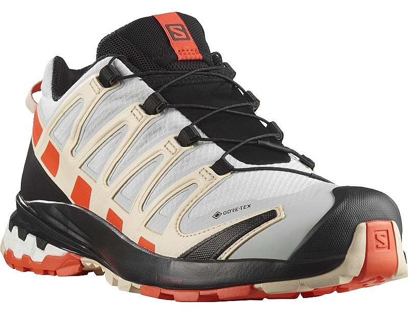 Schuhe Salomon XA Pro 3D V8 GTX W - Lunar Rock/Cherry Tomato/Sun Kiss - women´s
