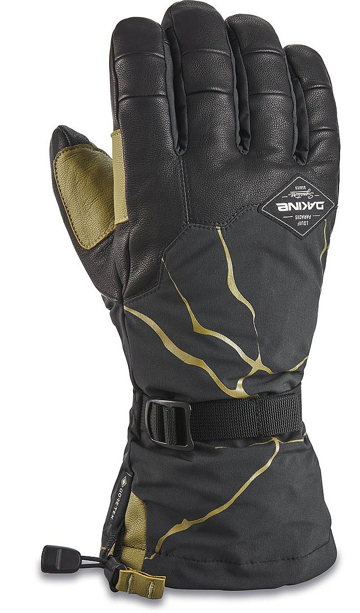 Handschuhe Dakine Team Phoenix Gore-Tex - Sammy Carlson - men´s