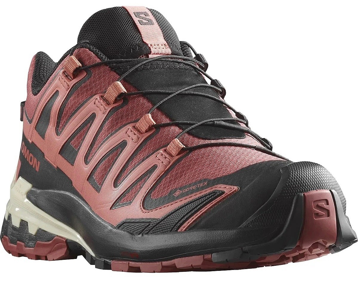 chaussures Salomon XA Pro 3D V9 GTX W - Cow Hide/Black/Faded Rose - women´s