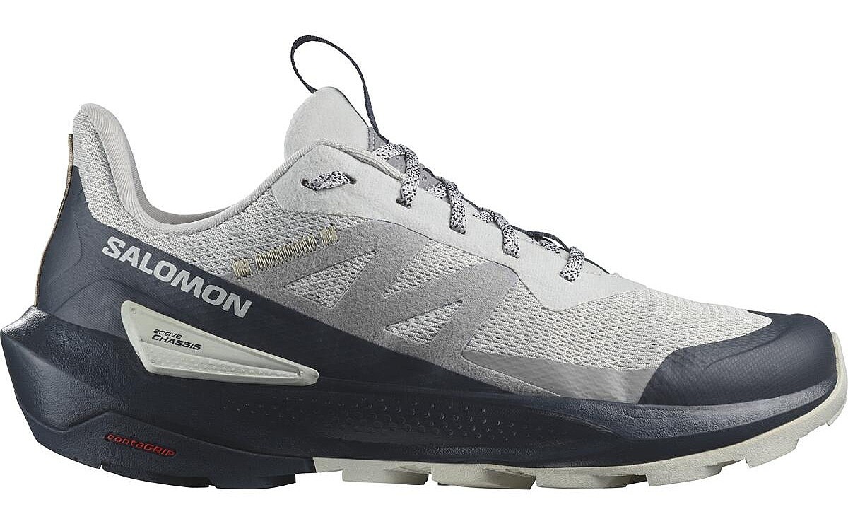 chaussures Salomon Elixir Activ - Glacier Gray/Carbon/Slate Green - men´s