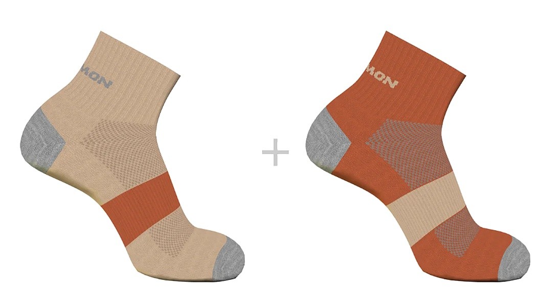 chaussettes Salomon Evasion Ankle 2 Pack - Deo/Spice Route