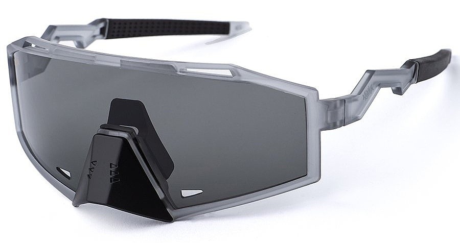 des lunettes Pitcha Thunder - Gray/Smoke