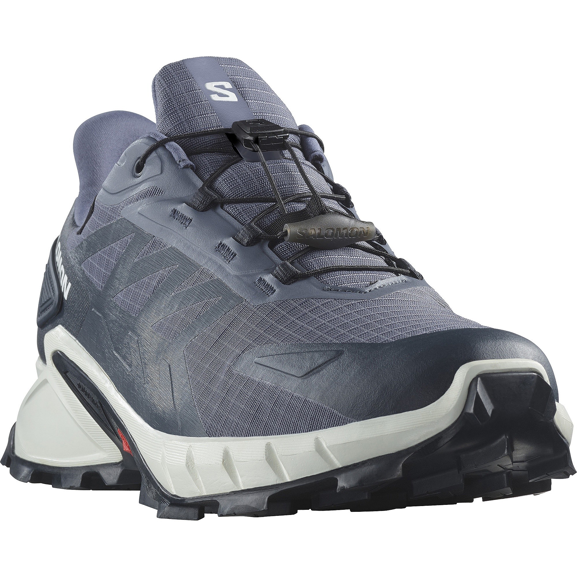 chaussures Salomon Supercross 4 GTX - Grisaille/White/Carbon - men´s