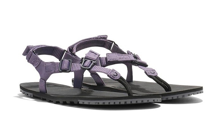 chaussures Xero Shoes H-Trail - Sage Purple - women´s