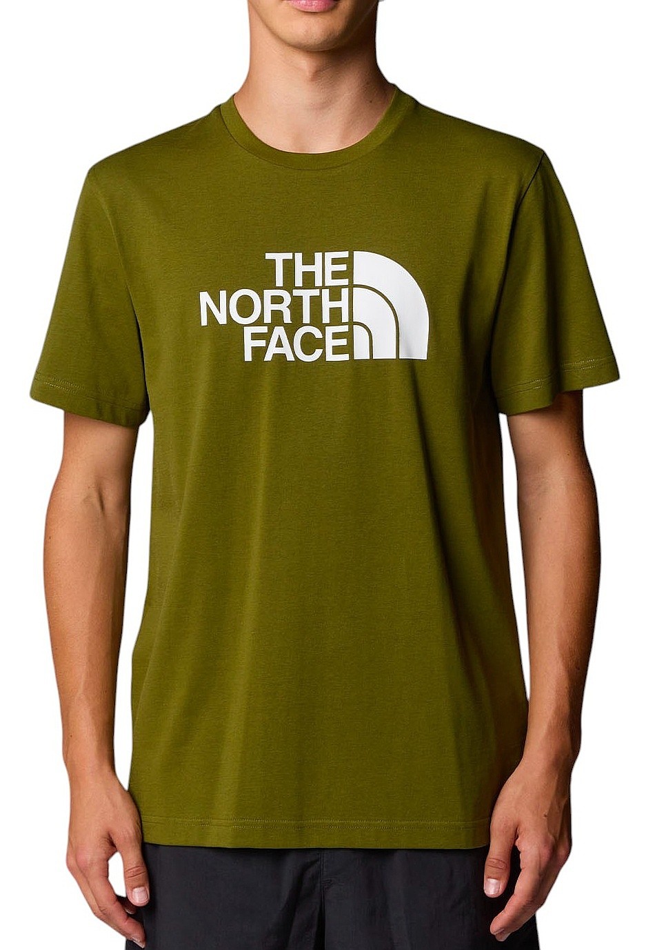 рубашка The North Face Easy - Forest Olive/TNF White - men´s