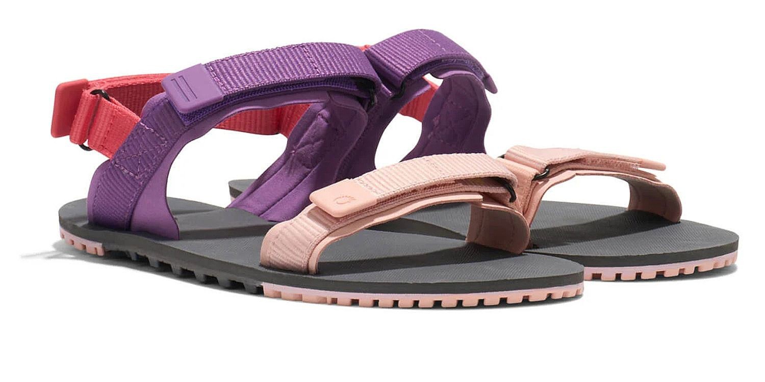 Schuhe Xero Shoes D-Trail - Dewberry Multi - women´s