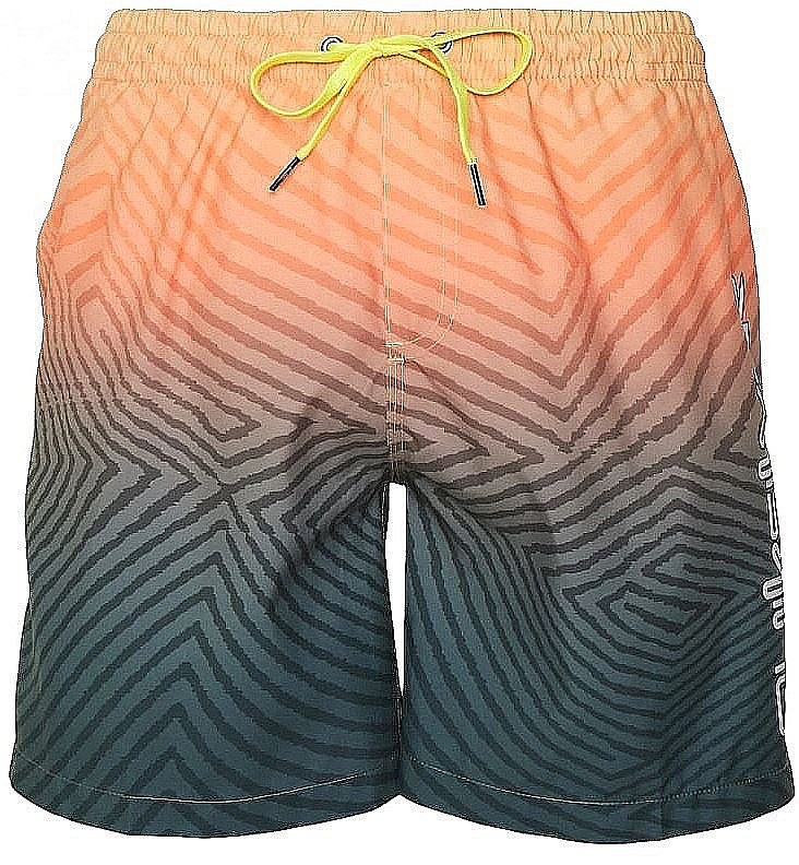 koupací šortky Quiksilver Everyday Warped Logo Volley 14 - BSL6/Midnight Navy