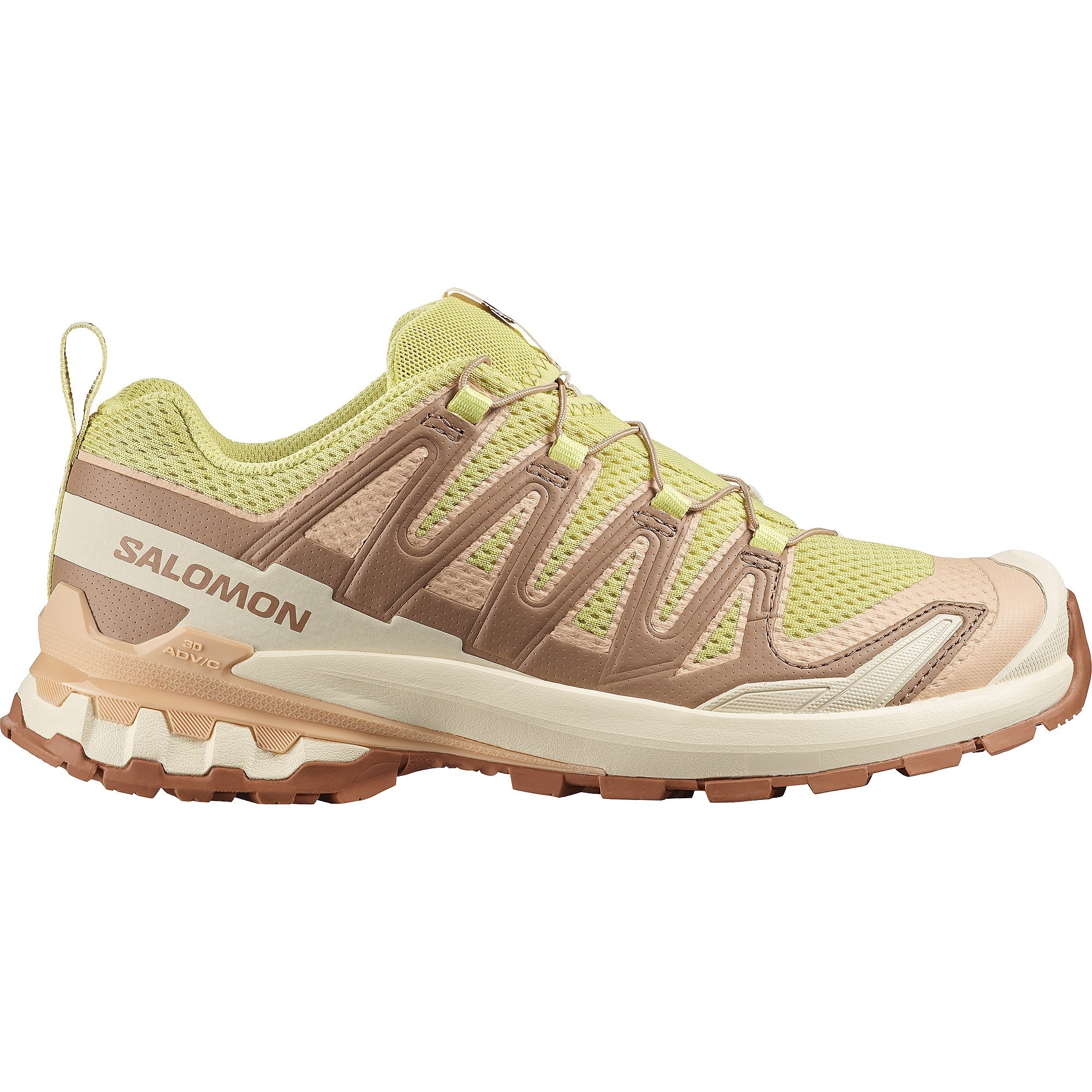 Schuhe Salomon XA Pro 3D V9 W - Endive/Burro/Almond Cream - women´s