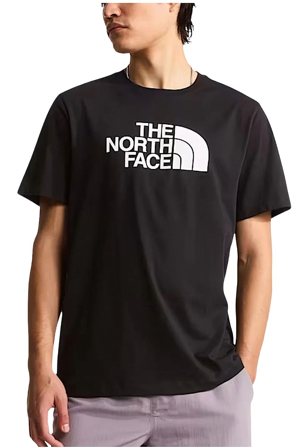 camisa The North Face Evolution Half Dome Regular - TNF Black/TNF White - men´s