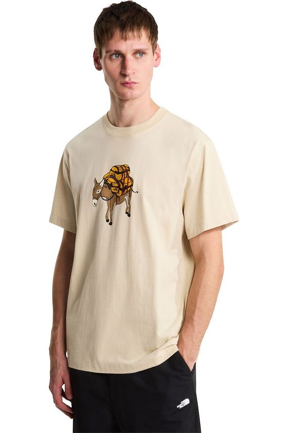koszulka The North Face Donkey Taxi Relaxed Graphic - Desert Stone - men´s
