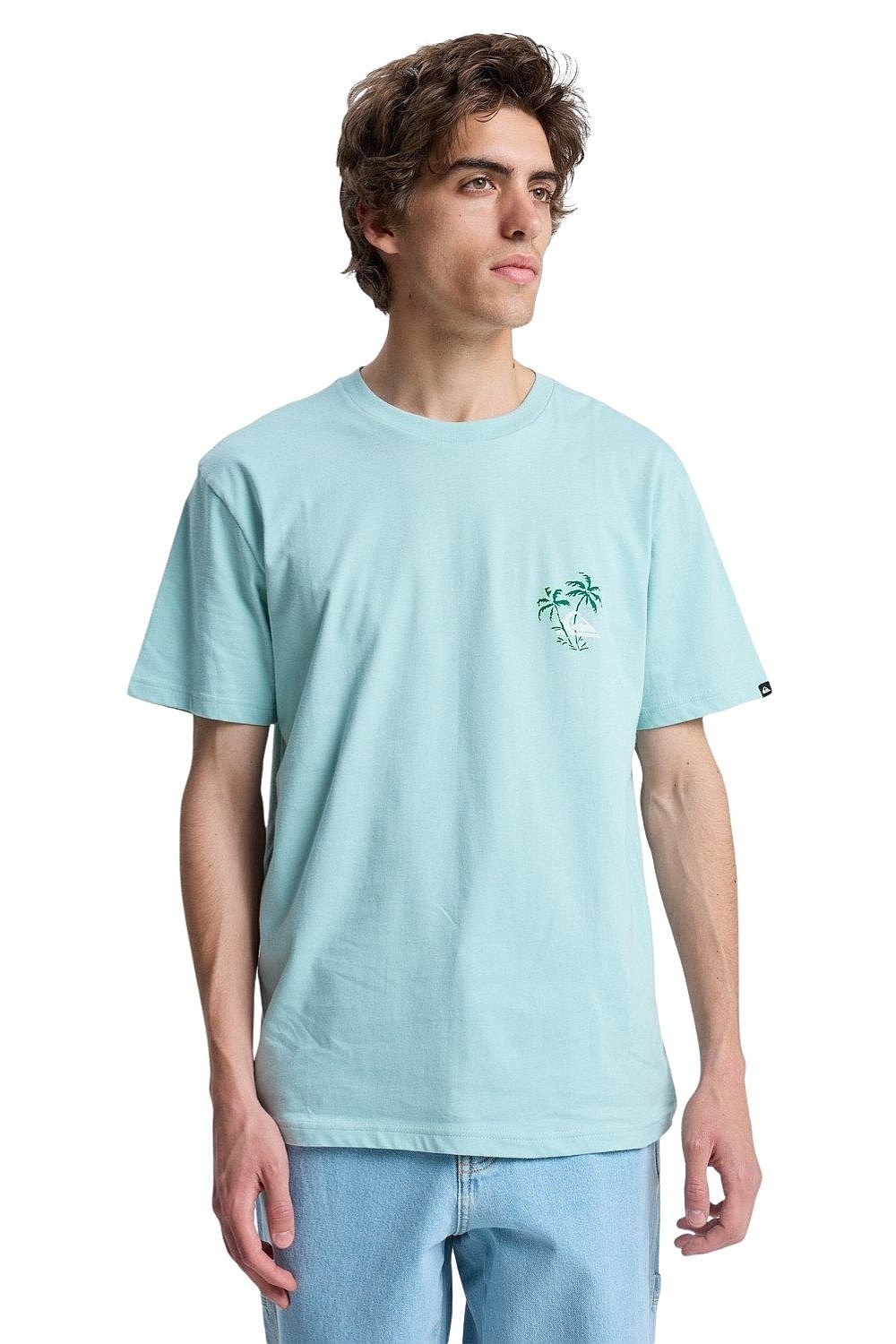 T-shirt Quiksilver Evo Learning From Nature - BGA0/Blue Haze - men´s