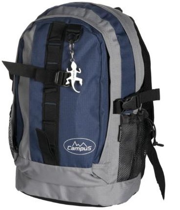 plecak Campus Roamer 25 L - Blue/Mouse Gray