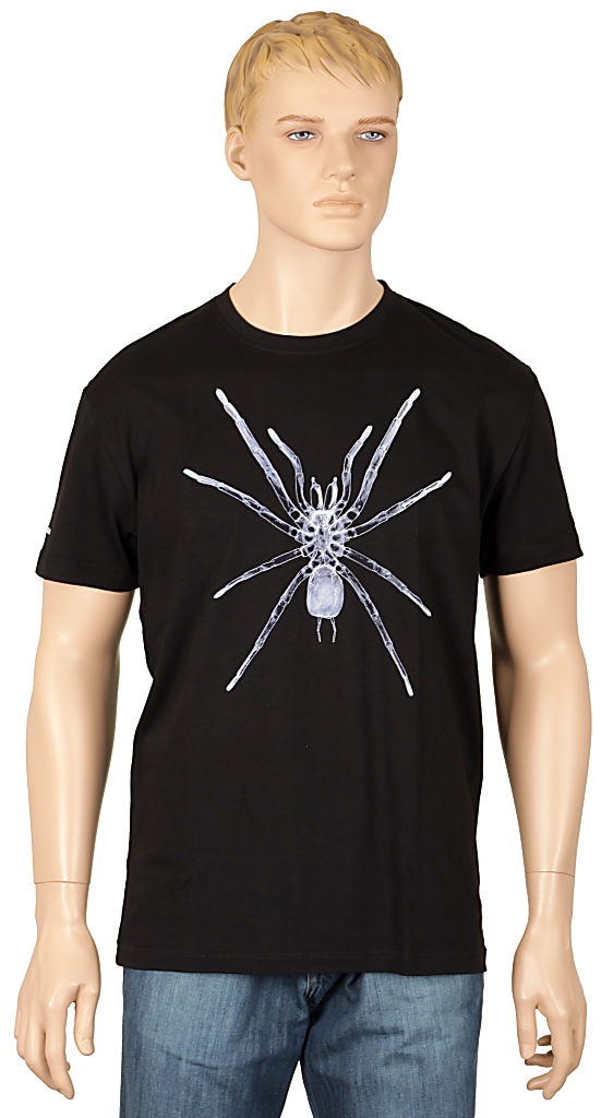 Globe X-Ray Glow In The Dark T-shirt - Black/Spider