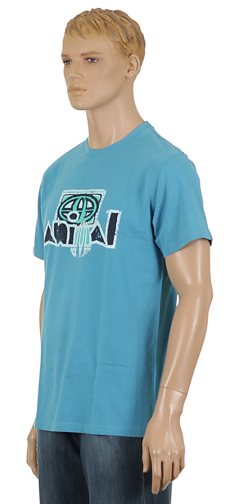 Tshirt Animal Heddwyn - Blue Jay
