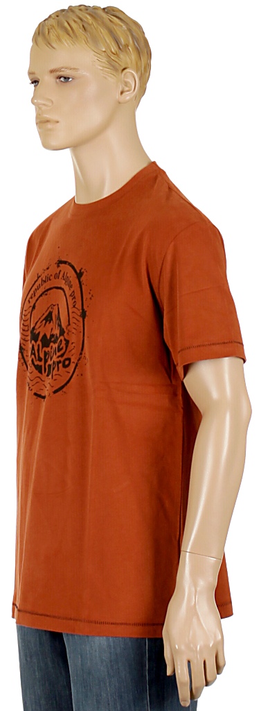 Alpine Pro Stamp T-shirt - Picante