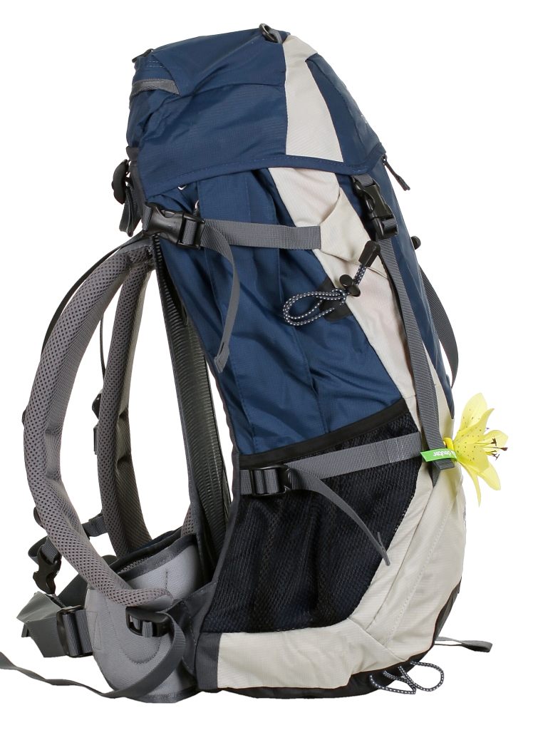 backpack Deuter Futura 24 SL - Midnight/Canvas