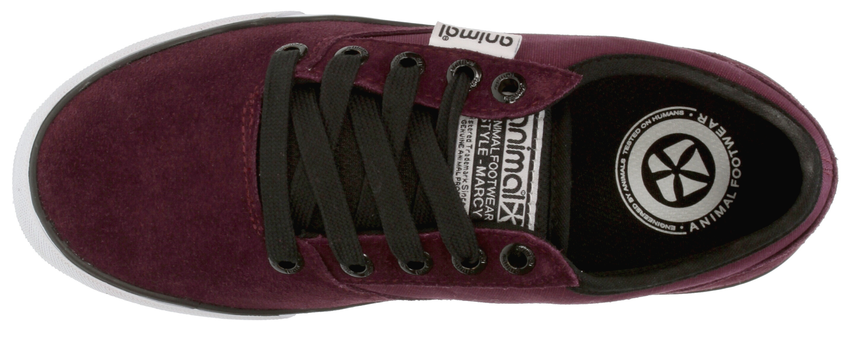 shoes Animal Marcy - Purple