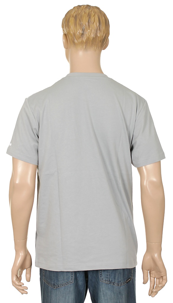 tričko Reebok GD - Tin Gray