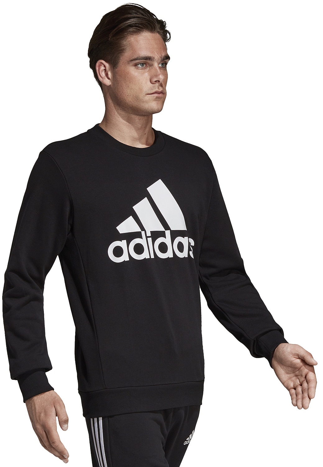 Sport crew. Адидас dt8995 e mo Crew ft. Sport Crew кофта. Кофта адидас code of Sport f19. Джемпер must haves Wording adidas чёрный.