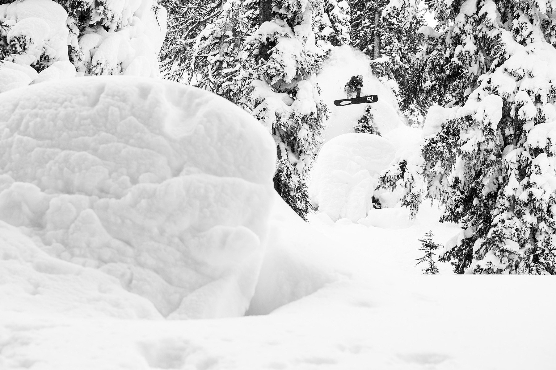 snowboard Lib Technologies Travis Rice Orca C2 Assorted men´s