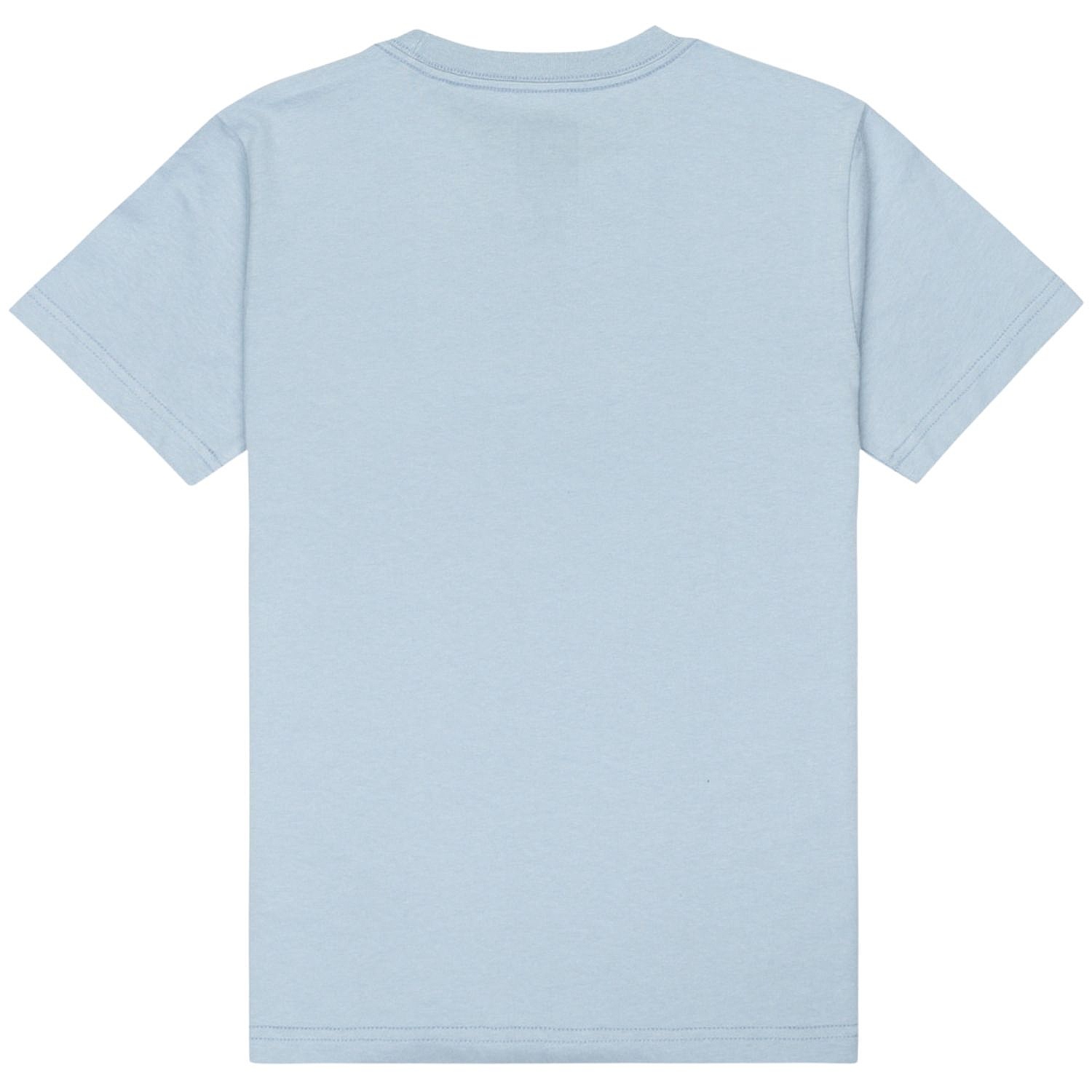 T-Shirt DC Manteca Tribute - BGJ0/Blue Fog - boy´s