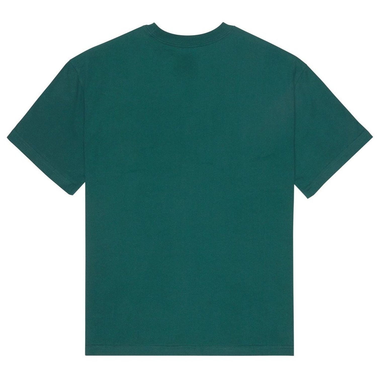 tričko DC Star Filled Hss - GTP0/Ponderosa Pine - men´s