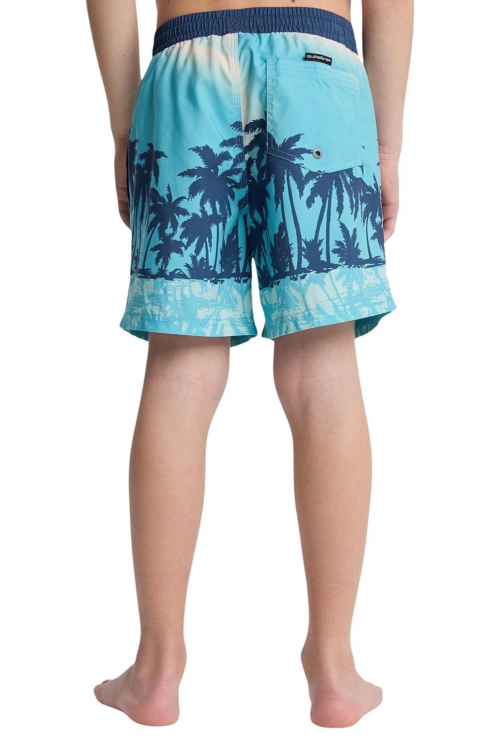 szorty kąpielowe Quiksilver Everyday Printed Volley 14 - BJK8/Aqua Thermotropics - boy´s