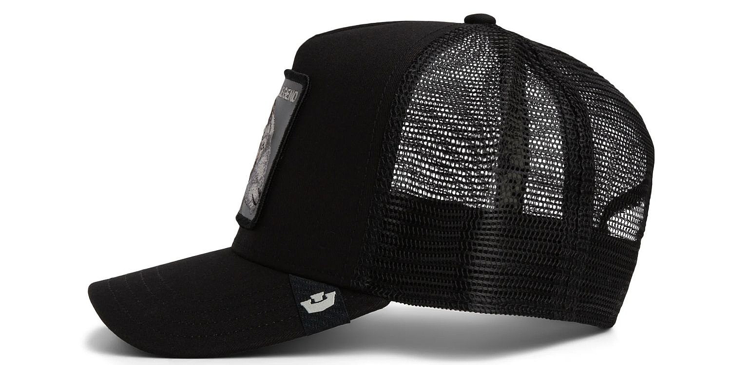 czapka z daszkiem Goorin Bros. Legend Trucker - Void