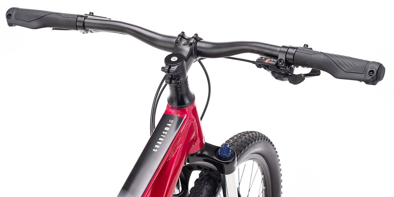 rower CTM Charisma 1.0 29" - Matte Light Grey - women´s