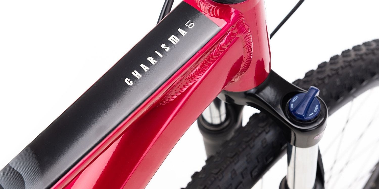 rower CTM Charisma 1.0 29" - Matte Light Grey - women´s