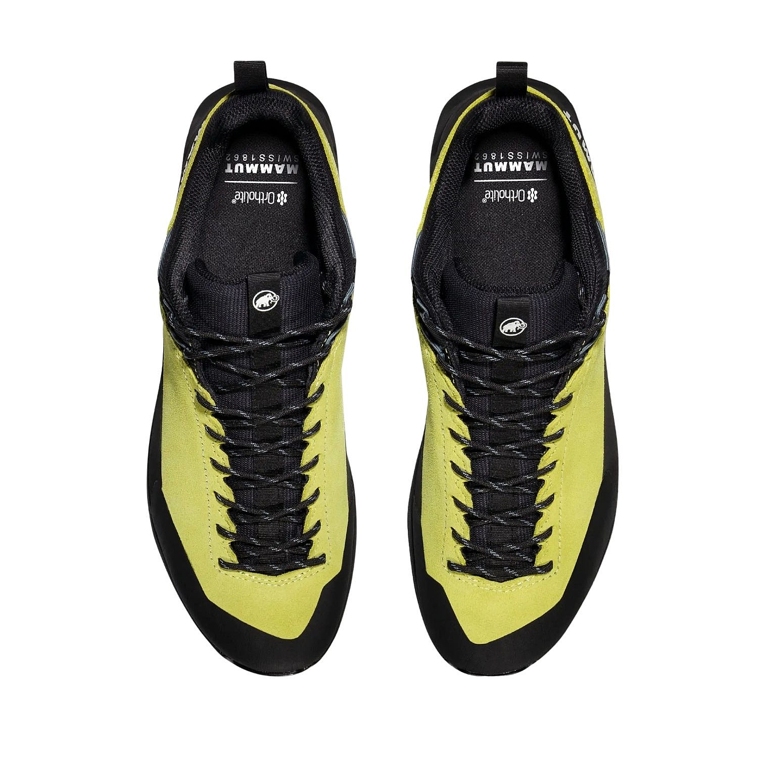 buty Mammut Alnasca IV Low LTH - Acacia/Strata - men´s