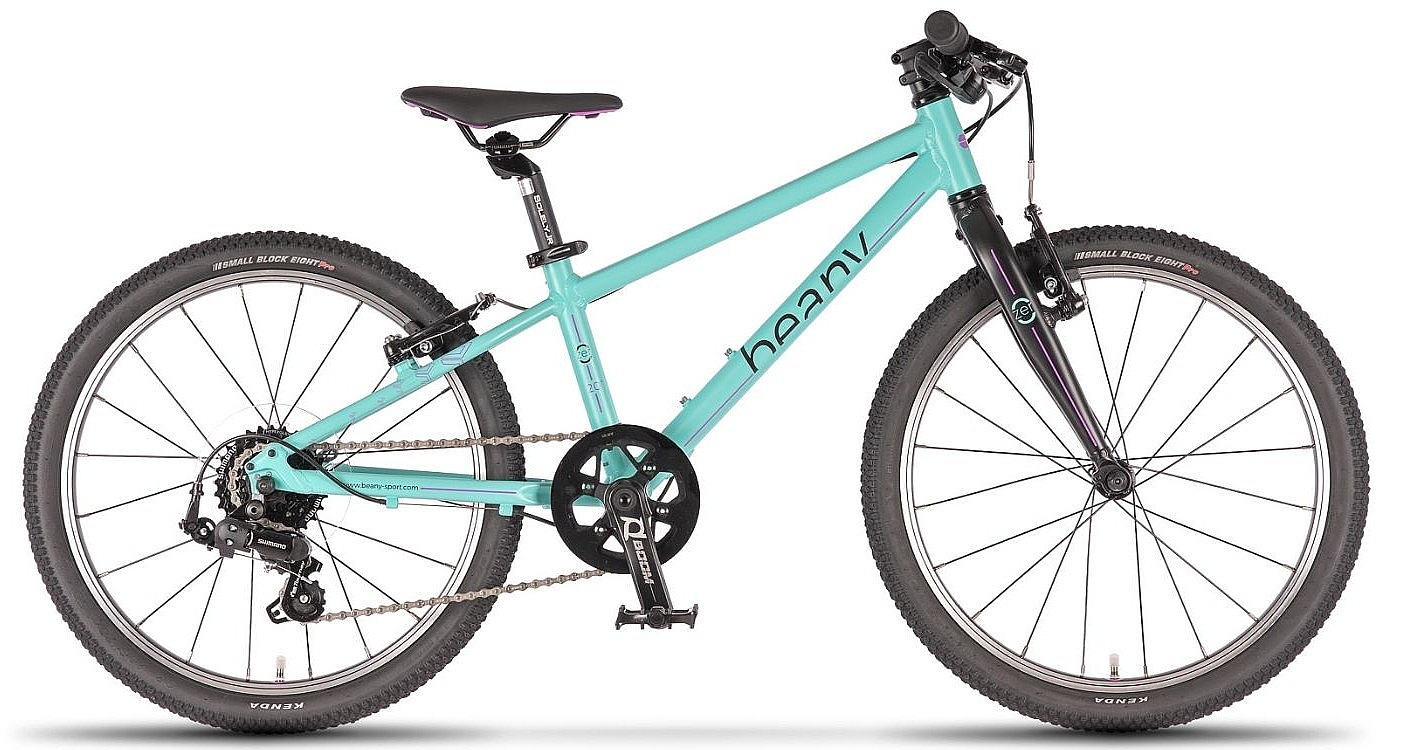 vélo Beany Zero 20" - Mint - unisex junior