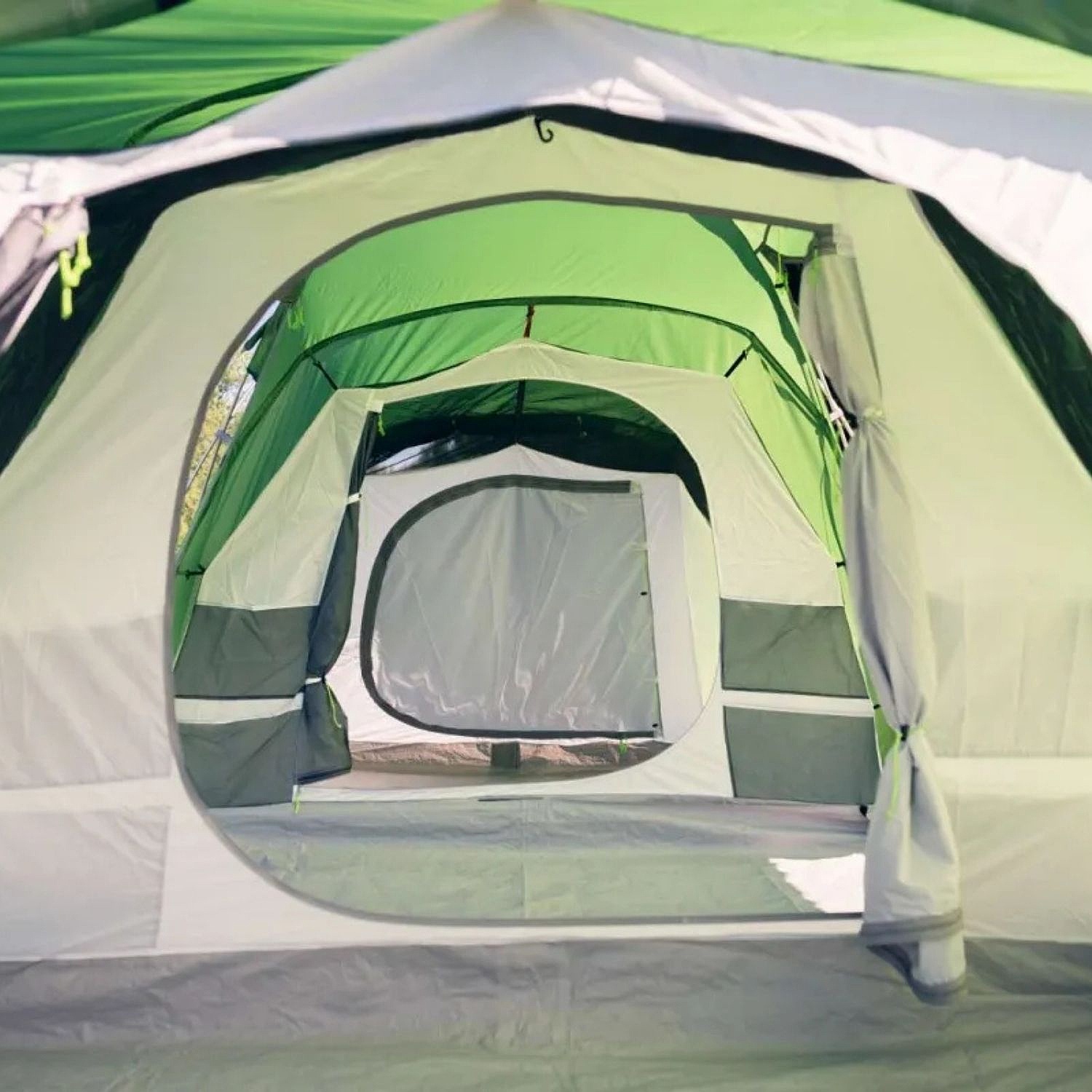 stan Husky Boston 6 Dural - Green