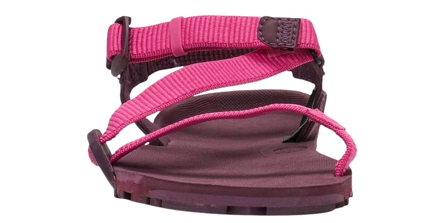 Schuhe Xero Shoes Z-Trail EV - Fuchsia Purple - women´s